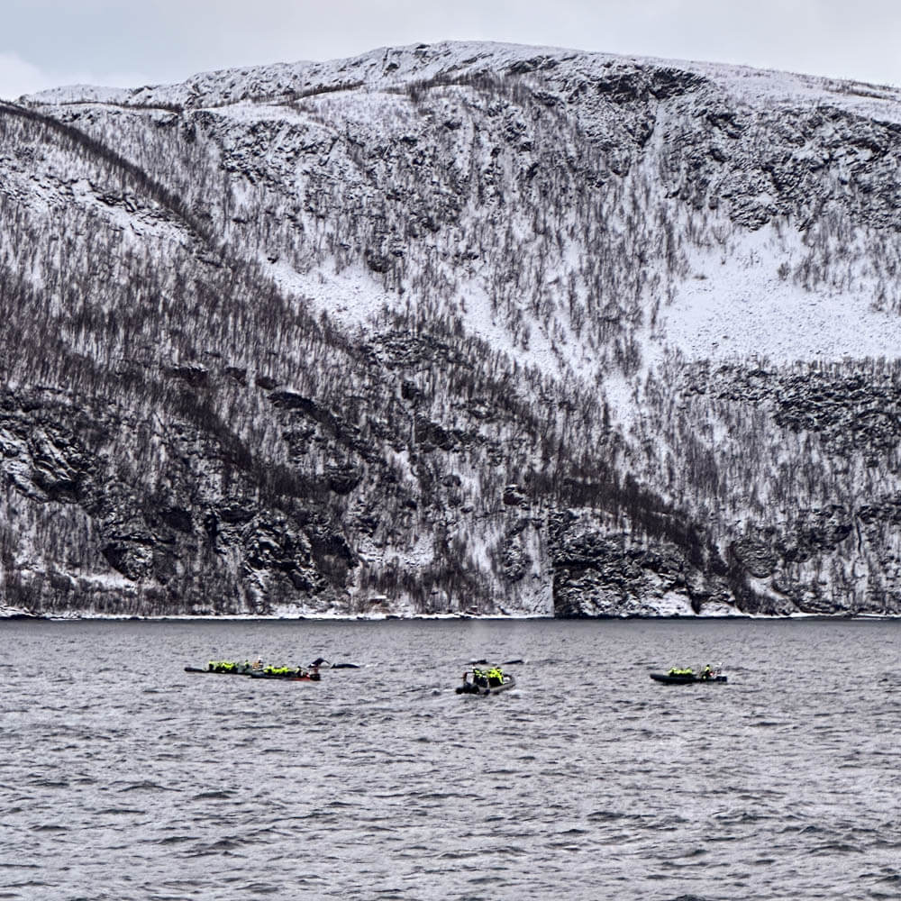 are whale watching activities sustainable in Tromsø? RIB boats surrounding a whale pod in Skjervøy
